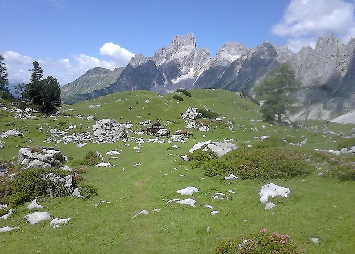 Asingerhof Casa de hóspedes Schladming