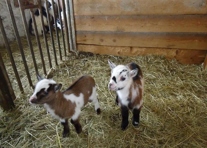 Asingerhof Casa de hóspedes
